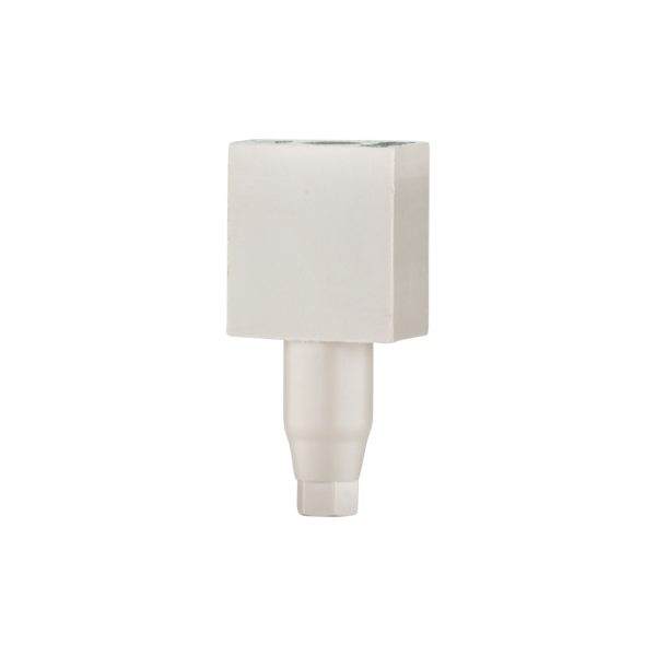 Scan abutment Cone Connection